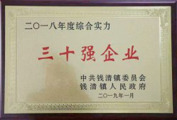 公司被錢清鎮(zhèn)黨委、鎮(zhèn)政府評(píng)為“2018年錢清鎮(zhèn)綜合實(shí)力三十強(qiáng)企業(yè)”